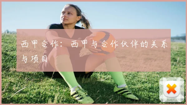 西甲合作：西甲与合作伙伴的关系与项目