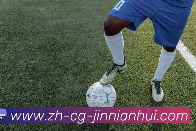 金年会体育平台生态图